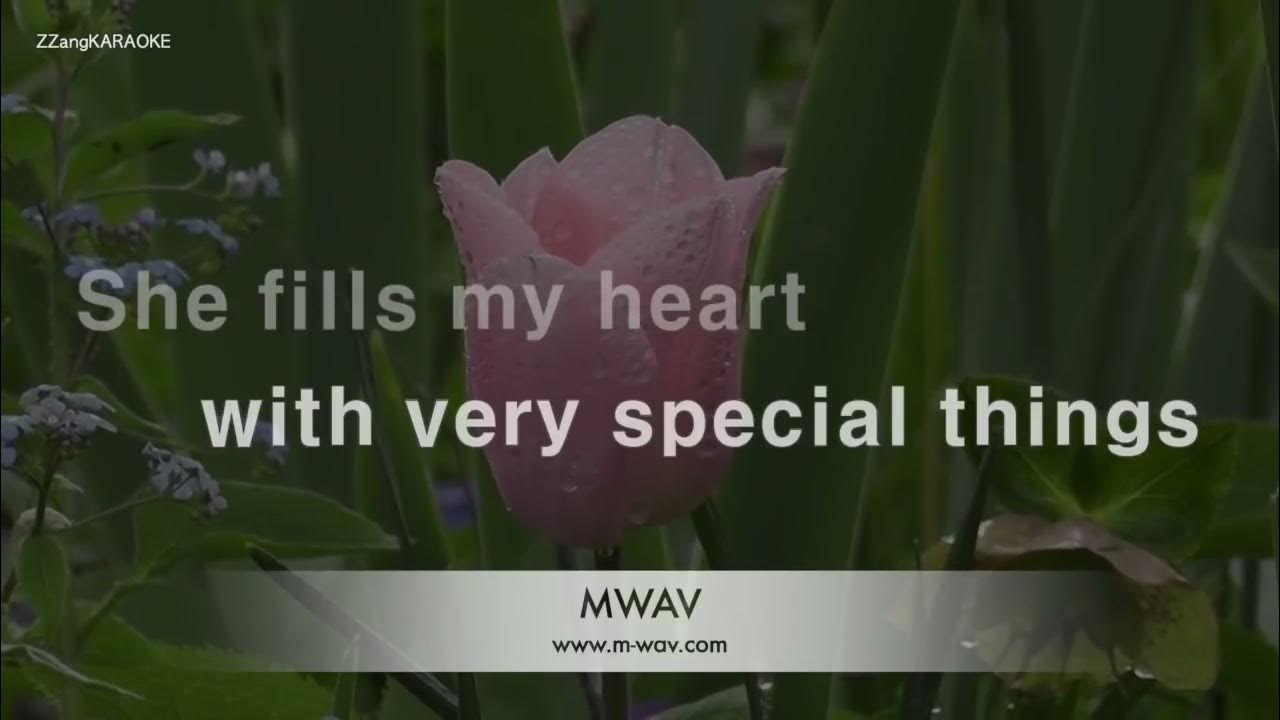 ANDY WILLIAMS - LOVE STORY (WHERE DO I BEGIN) KARAOKE ANDY WILLIAMS - LOVE STORY (WHERE DO I BEGIN) KARAOKE