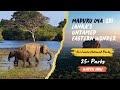 Maduru Oya Sri Lanka S Untamed Eastern Wonder