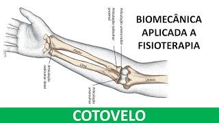 Anatomia e Biomecânica do cotovelo