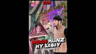 PADAN MAANZ HY LAGAY !! AASIM VLOGS!!MALIKSUHAIL02!! BANDOOK029!! KASHMIRI WEDDING SONG 2025