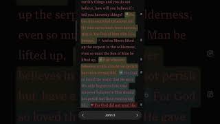 YouVersion Bible App Highlights and Bookmarks [Last Update] Net Worth