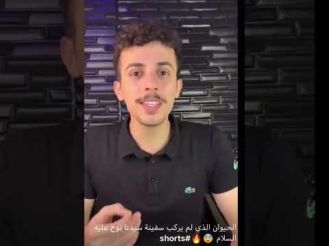 من هو الحيوان الذي لم يركب على سفينة سيدنا نوح عليه السلام