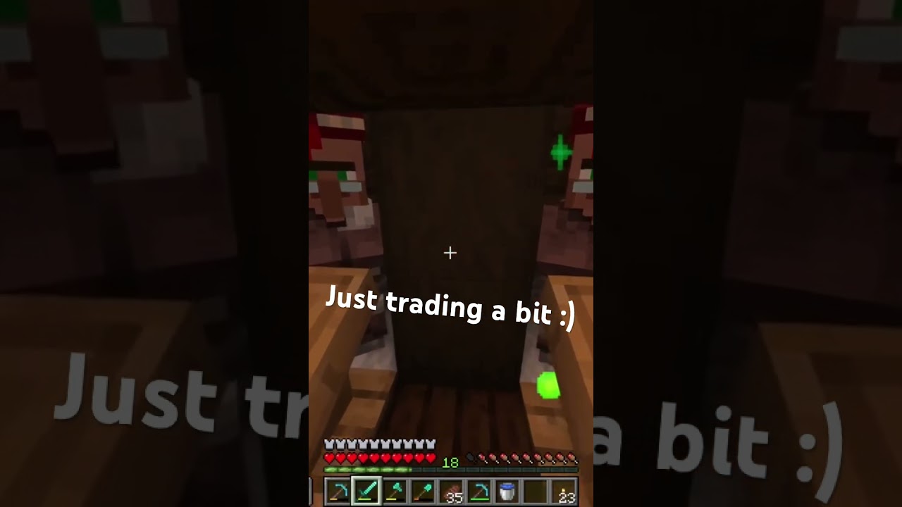Doing some villager trading #minecraft #gaming #survival #villagers #dragentopia