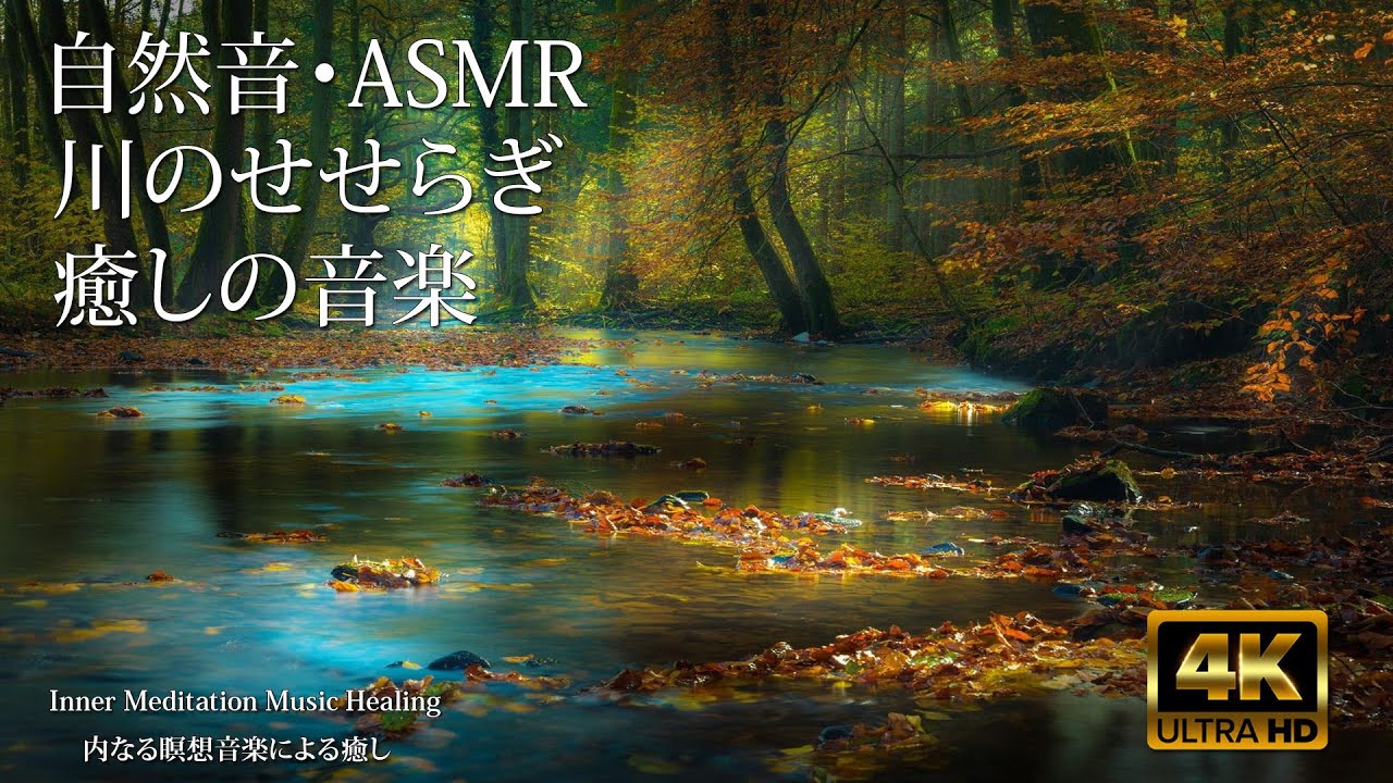 【自然音・ASMR】川のせせらぎ癒しの音楽 Nature Sounds｜勉強・作業用BGM・睡眠用BGM｜川の音・鳥の声｜快眠・リラックス ...