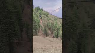 Zipline #fun #adventure #zipline #travel #vlog