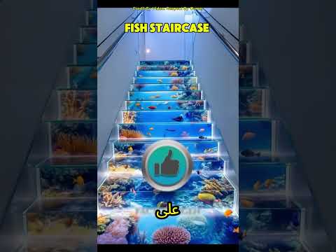 سوف تقوم بتثبيت سلم السمك