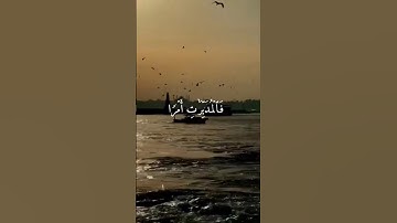آيات من سورة النازعات القارى شريف مصطفى