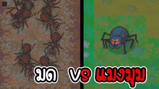 มด vs แมงมุม - Ant colony [เกมมือถือ]