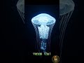 The Invisible Killer🪼Box Jellyfish Venom Will STOP Your Heart! | Wild Lens TV #Short