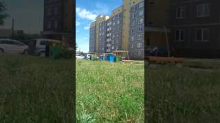 Под Гродно на детской площадке застрелили собаку (Скидель) Под Гродно на детской площадке застрелили собаку (Скидель)