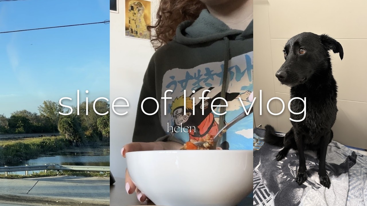 slice of life vlog | one pot rice cooker meal prep, bathing autumn, new keyboard & yummy sushi date