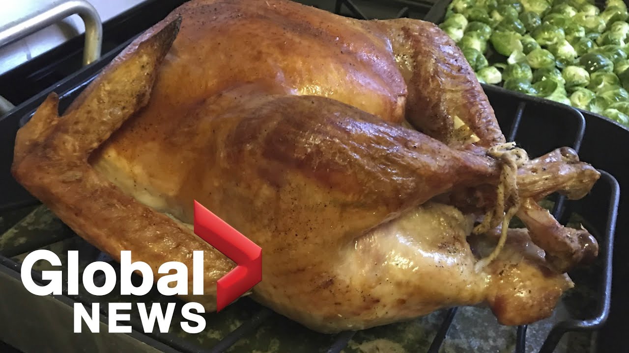 How to avoid a political showdown at the dinner table YouTube