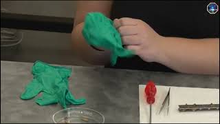 Celebrity Sample Preparation Demonstration of X-Ray Photoelectron Spectroscopy #nanopedia #nanotechnology Wealth