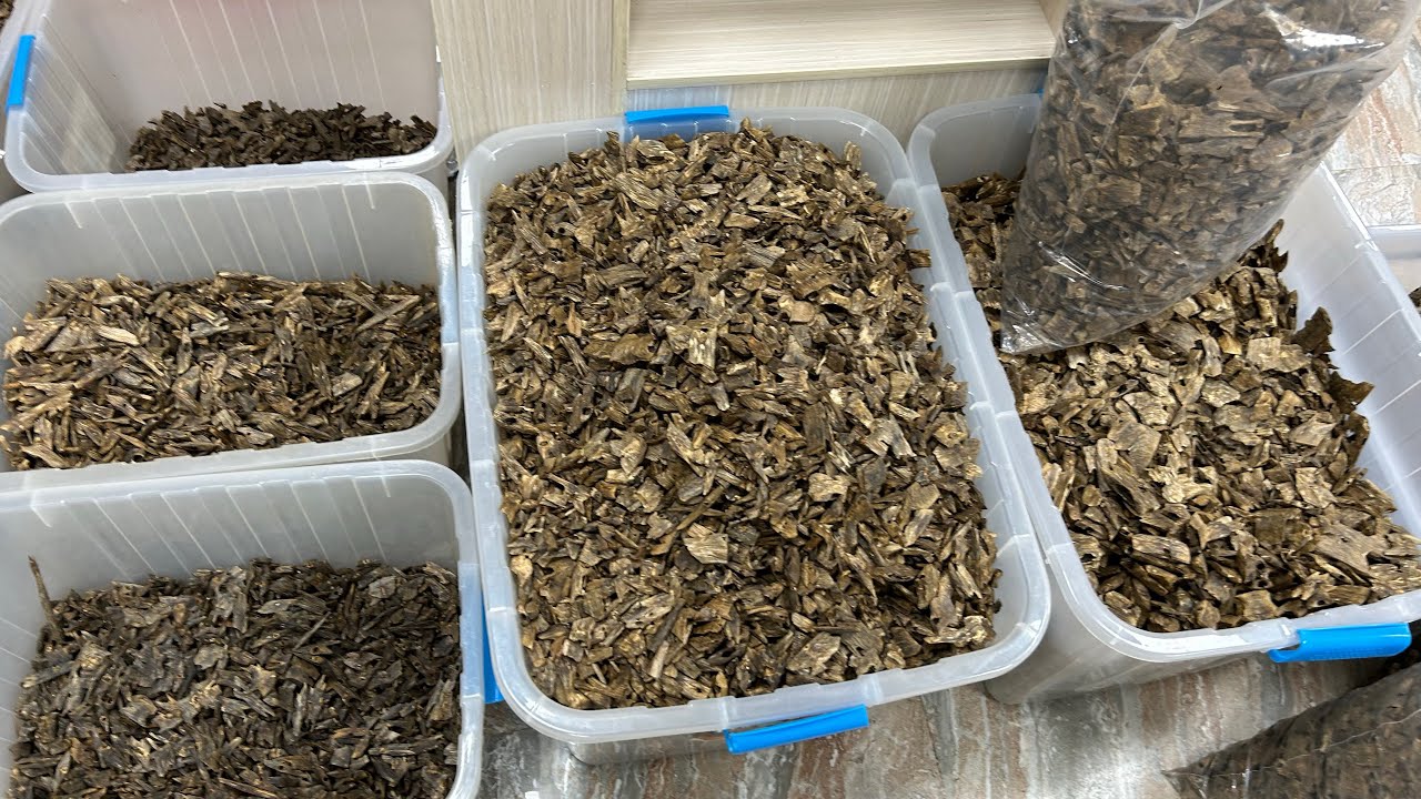 Various grades of Chinese Kynam agarwood chips مختلف درجات رقائق العود ...