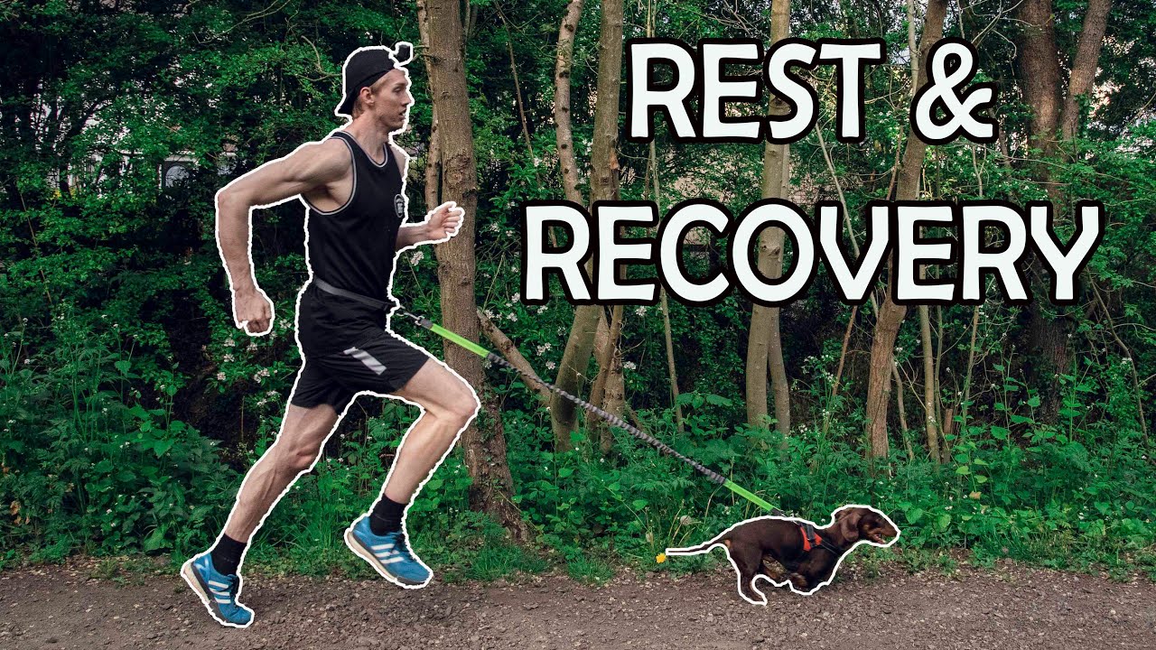 ancora pain recovery shut down ancora pain recovery shut down