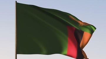 Flag of Zambia | Flag of Zambia | ROYALTY FREE [4K] 20 SEC LOOP