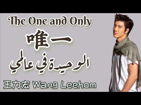 أغنية صينية رومانسية الوحيدة في عالمي      مترجمة النطق