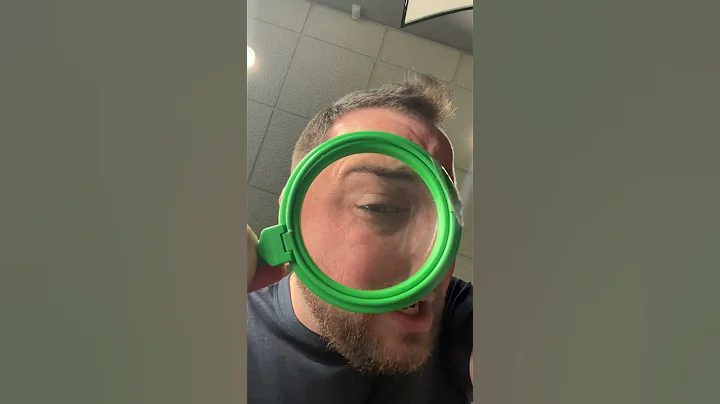 What an Ant's Face Looks Like Close Up