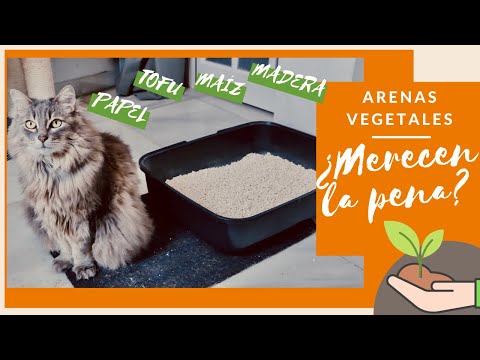 Video: Arena Para Gatos Ecológica