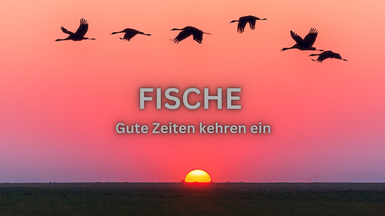 FISCHE ♓️ SEPTEMBER• Gute Zeiten kehren ein 
