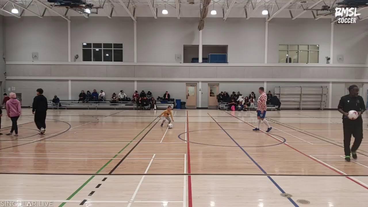 Live streaming of PMSL-TV