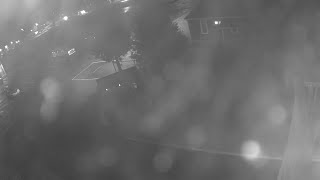 Surveillance video stolen Christmas tree investigation