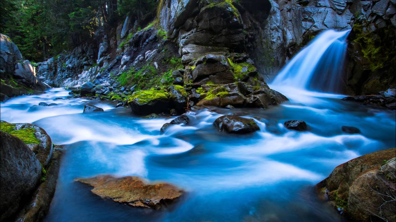 Euphoric Logic -  Don't Panic