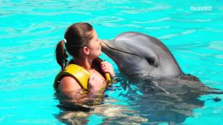 Dolphin-assisted childbirth should not be a thing