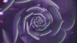 secretflowers surrender full album visual (enter the void 2)