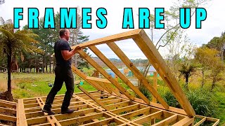 Building a Tiny cabin part 2