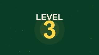 The 5 Levels Of Wealth why Most People Never Reach Level 3