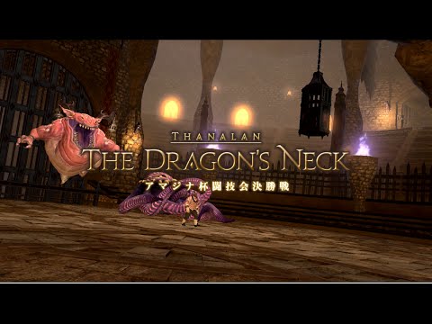 【新生FF14】パッチ2.4 事件屋ヒルディクエ！アマジナ杯闘技会決勝戦 ナイト視点 FINAL FANTASY XIV The Dragon's Neck Hildibrand