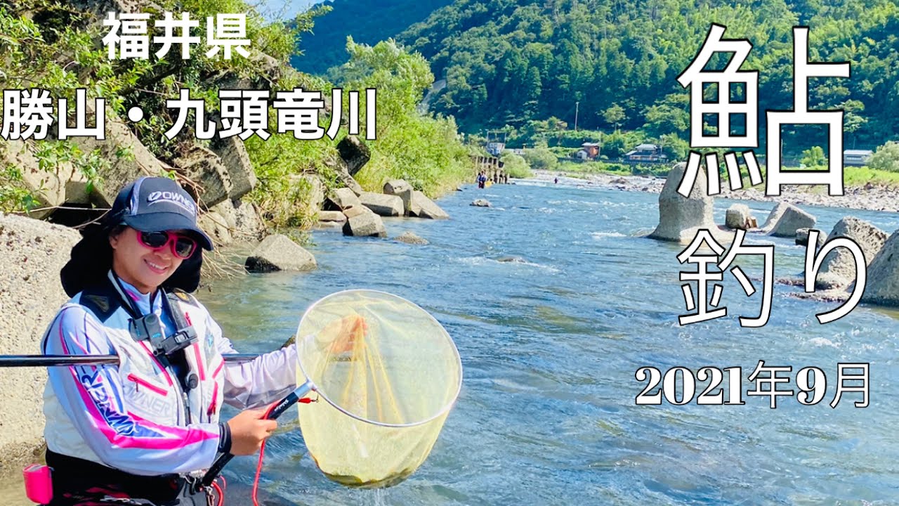 (鮎釣り) 2021年逆上げで入れ掛かりました。in 勝山 九頭竜川。PINAY AYU(episode16)