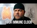The Immune Hormone Your Body Stopped Making (And Why Zinc Alone Won't Fix It)
