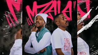 Shakes & Les & Zee Nxumalo - Mzala ft. Tango Supreme (Official Audio)