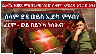 ልሒኹ ዝወጸ ምስጢራዊ ‘ሰነድ ሰላም’ ኣሜሪካ እንታይ እዩ?ሰላም ድዩ ወይስ ኢድካ ምሃብ?‘ፈርም - ወይ በይንኻ ትስሕና!’