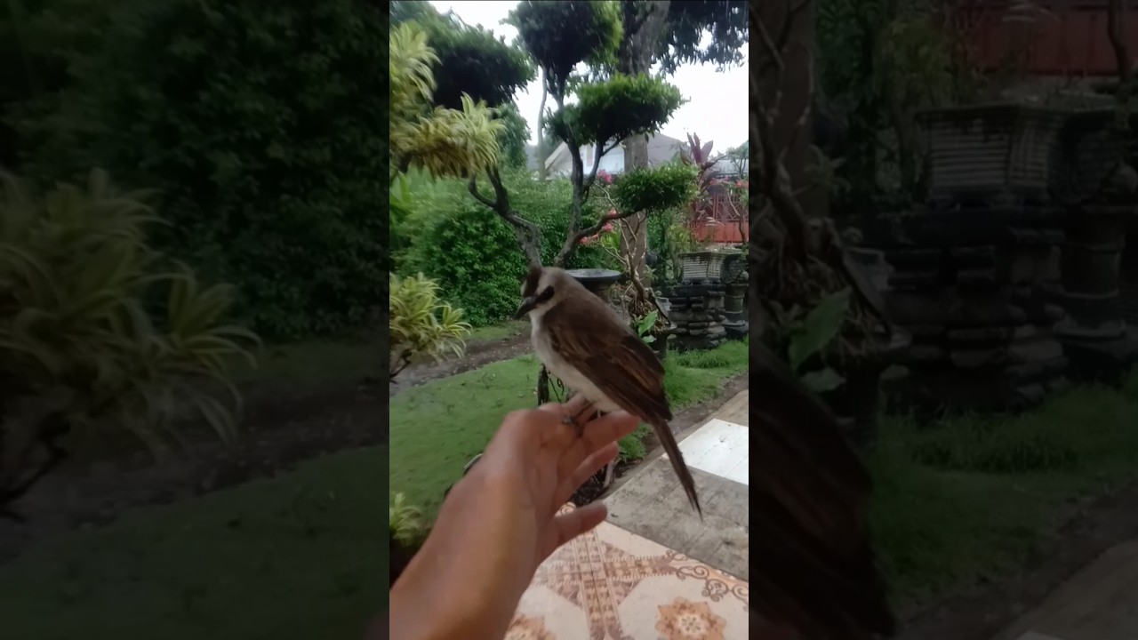 This is how it behaves when it’s hungry