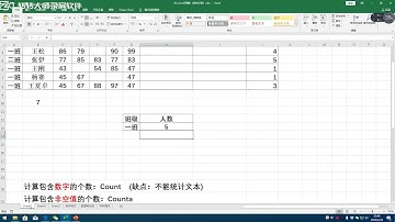 【转自B站孙兴华老师】用最快的方式学会Excel 【Excel教程持续更新ing    】 P08 函数篇03 countif函数（条件计数）