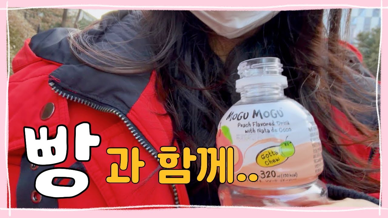 빵과 함께.. 🥐 된장찌개. 스타벅스. 빵. 버거킹. 모구모구와 함께한 하루