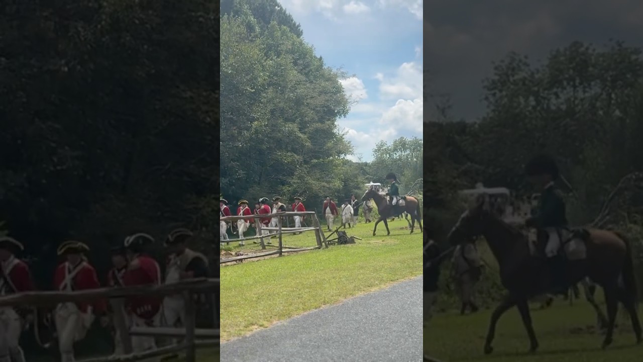 The Battle of the Bees Begins | McIntyre’s Farm 1780