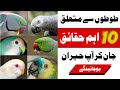 15 Amazing facts about Parrots || parrot facts || interesting facts about parrot in hindi
