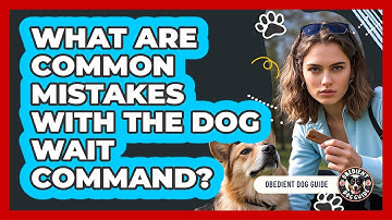 What Are Common Mistakes With The Dog Wait Command? - Obedient Dog Guide