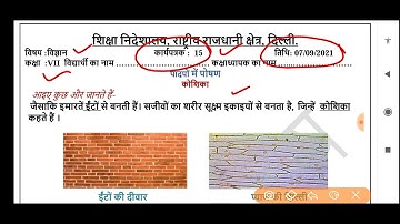 Science worksheet 15 class 7 (7/9/21) Hindi medium/worksheet 15 science class7/class7 science