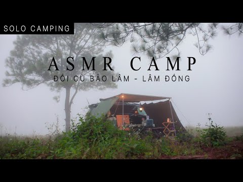 Video ????Cắm trại một mình trong rừng bằng xe ô tô |❄️Ngủ... - youtube