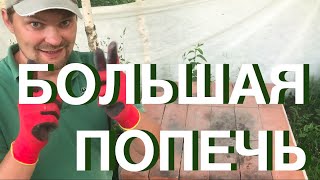 видео: Уличная Русская Печь Без Раствора и Шашлык! картинка: Уличная Русская Печь Без Раствора и Шашлык!