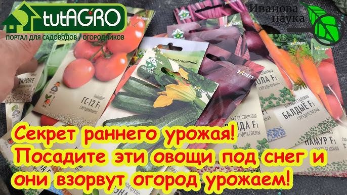 Yalangoch aktrisa Enn Xeteuey Tukli etuk buvilar porno