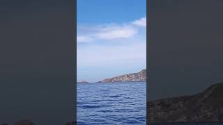 Gannets diving into the Atlantic ocean