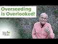 Overseeding Lawn in the Spring | Make Your Lawn Look Its Best!