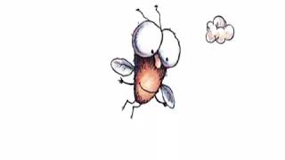 Hi fly guy.