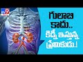 Wife struggling with pain, husband gave his 'kidney' as gift on Valentine's Day